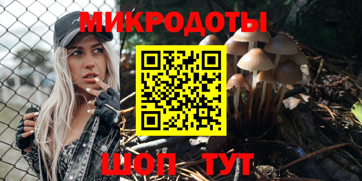 Галлюциногенные грибы Psilocybe Дагестанские Огни